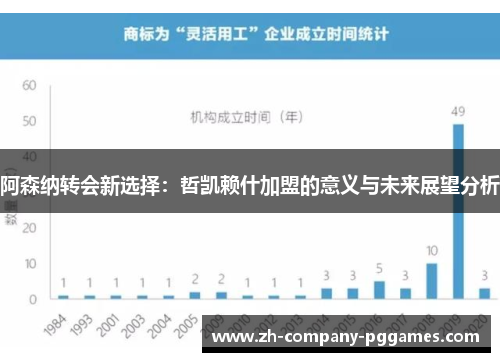 阿森纳转会新选择：哲凯赖什加盟的意义与未来展望分析