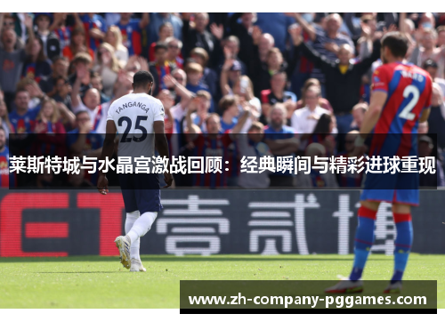 莱斯特城与水晶宫激战回顾:经典瞬间与精彩进球重现 莱斯特城与水晶宫激战回顾:经典瞬间与精彩进球重现
