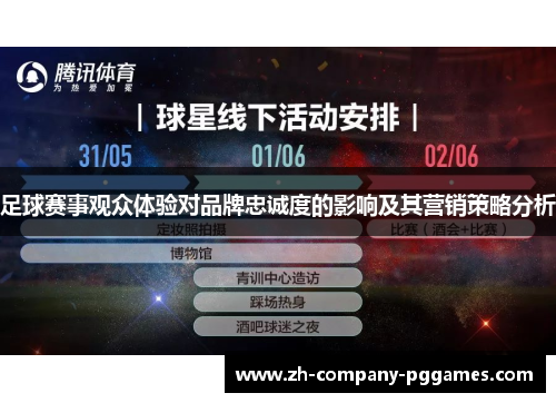 足球赛事观众体验对品牌忠诚度的影响及其营销策略分析
