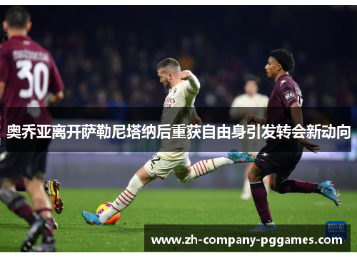 奥乔亚离开萨勒尼塔纳后重获自由身引发转会新动向 奥乔亚离开萨勒尼塔纳后重获自由身引发转会新动向