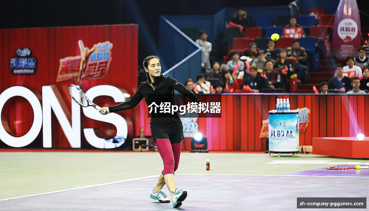 介绍pg模拟器